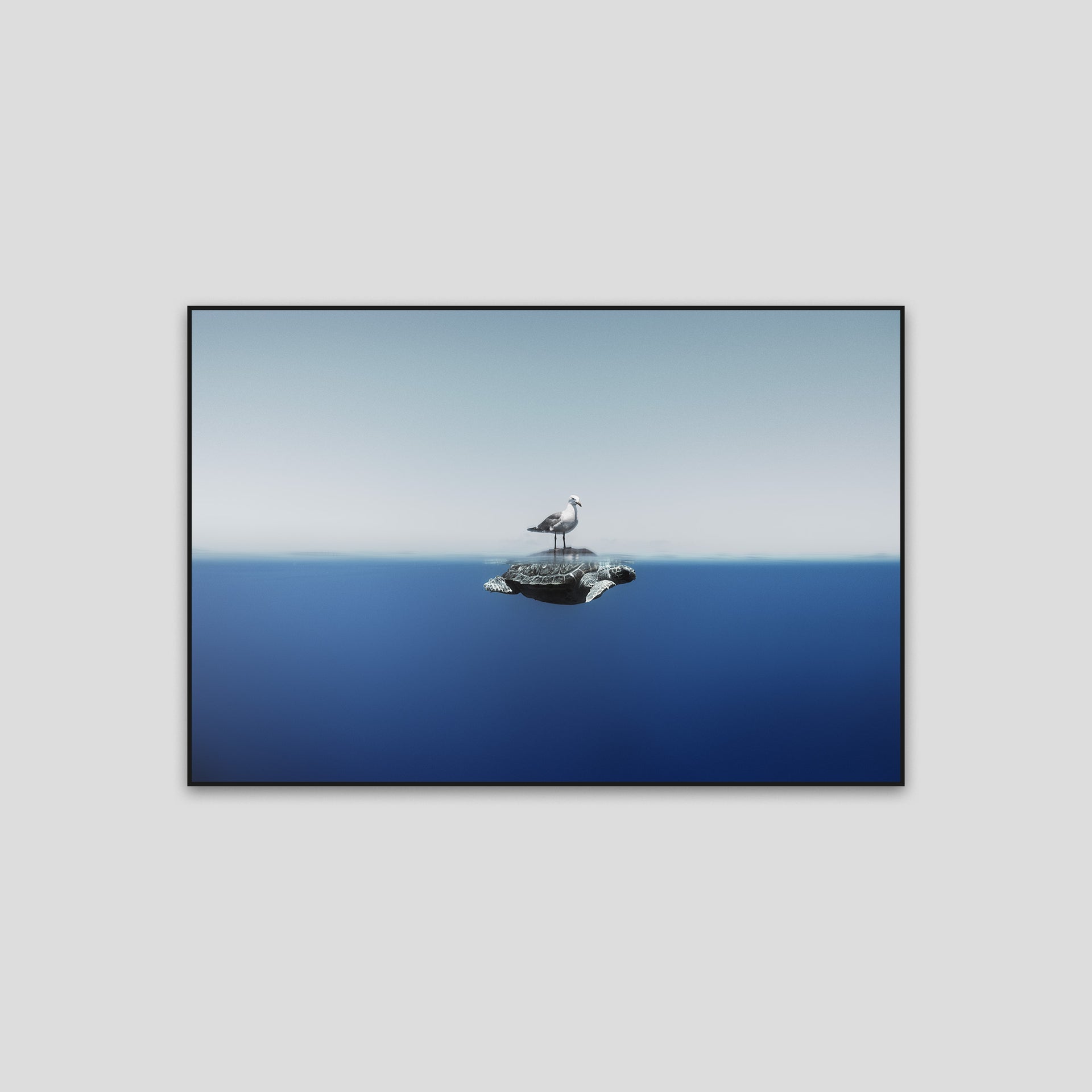240622-0A0A7603