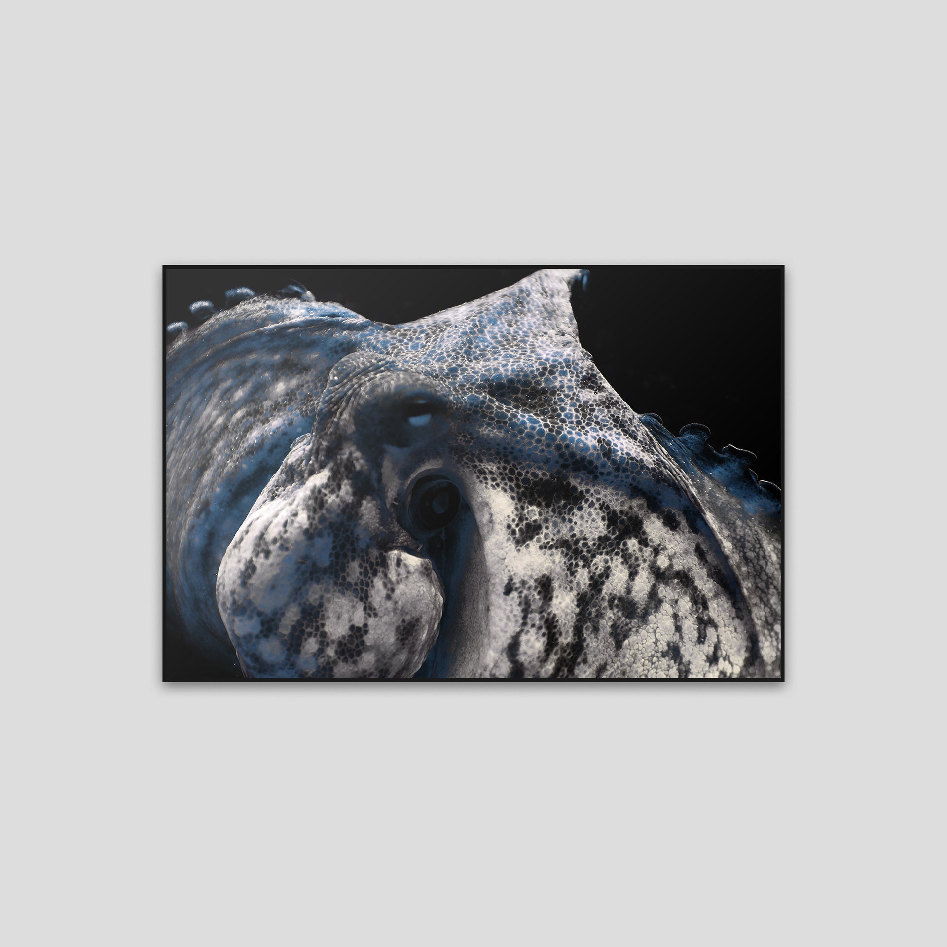 230826-0A0A8874
