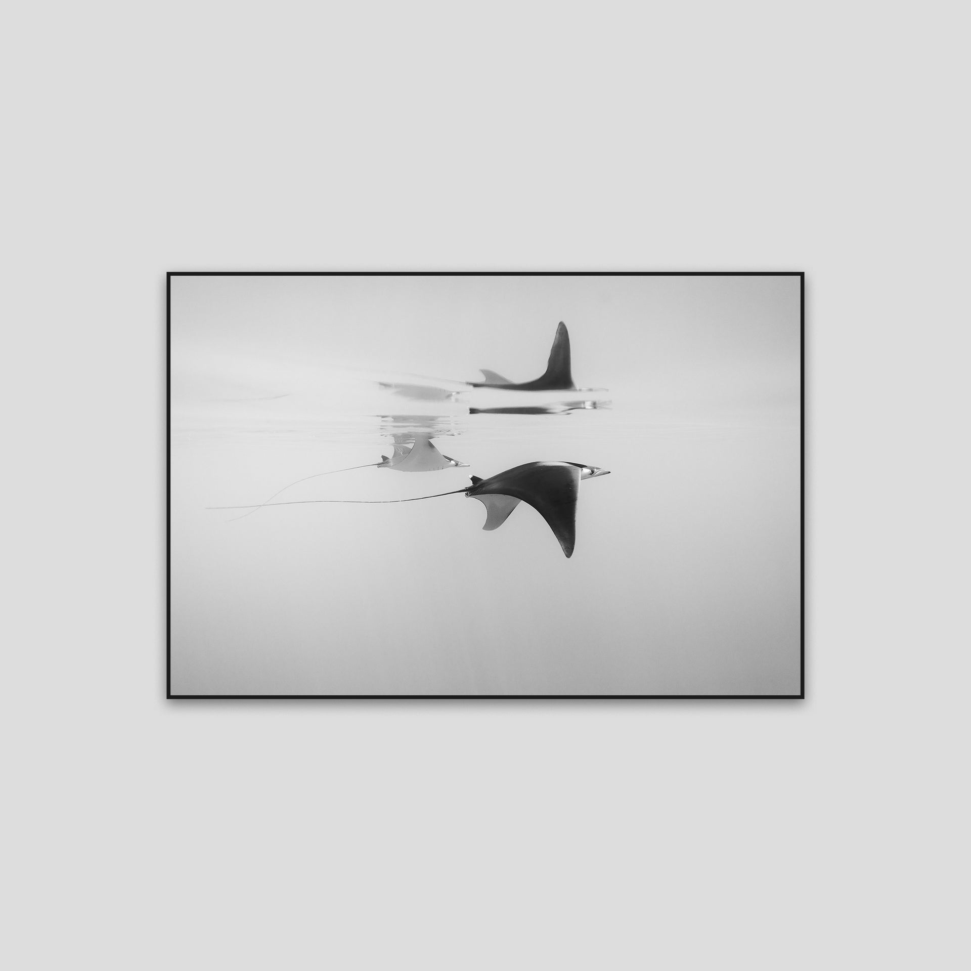 230611-0A0A2395