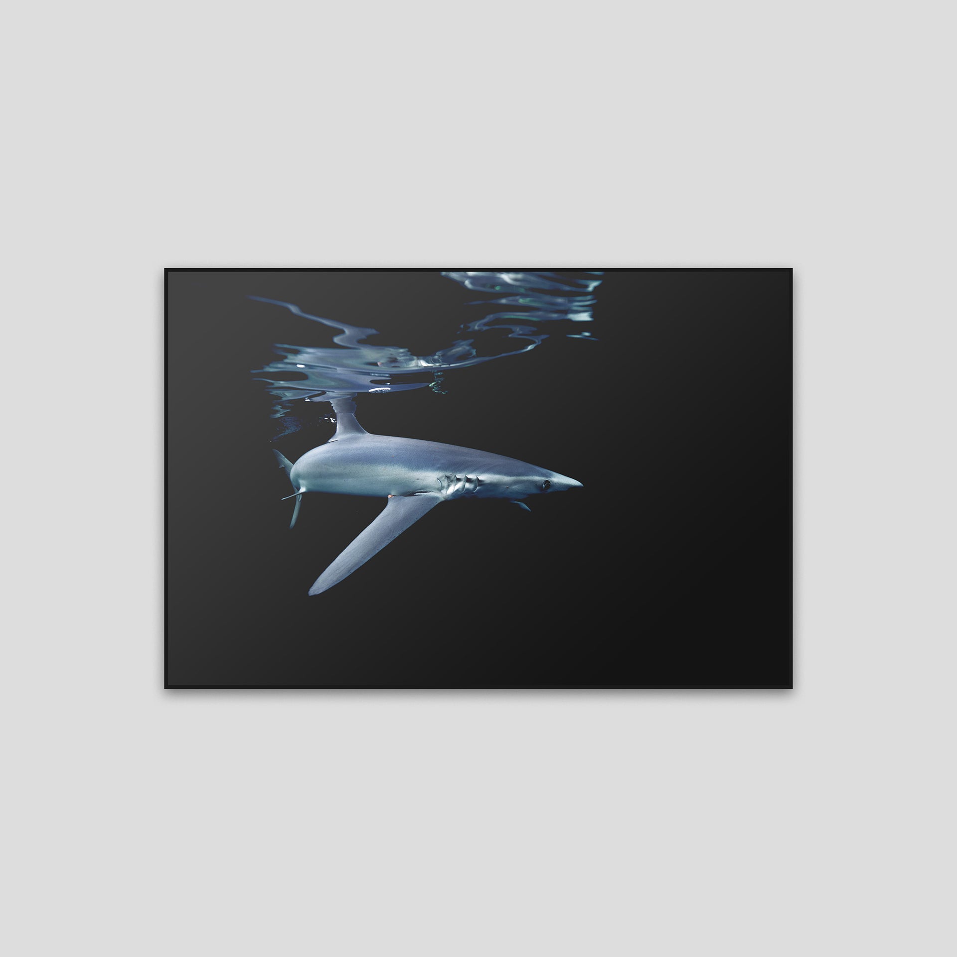 220420-0A0A7225