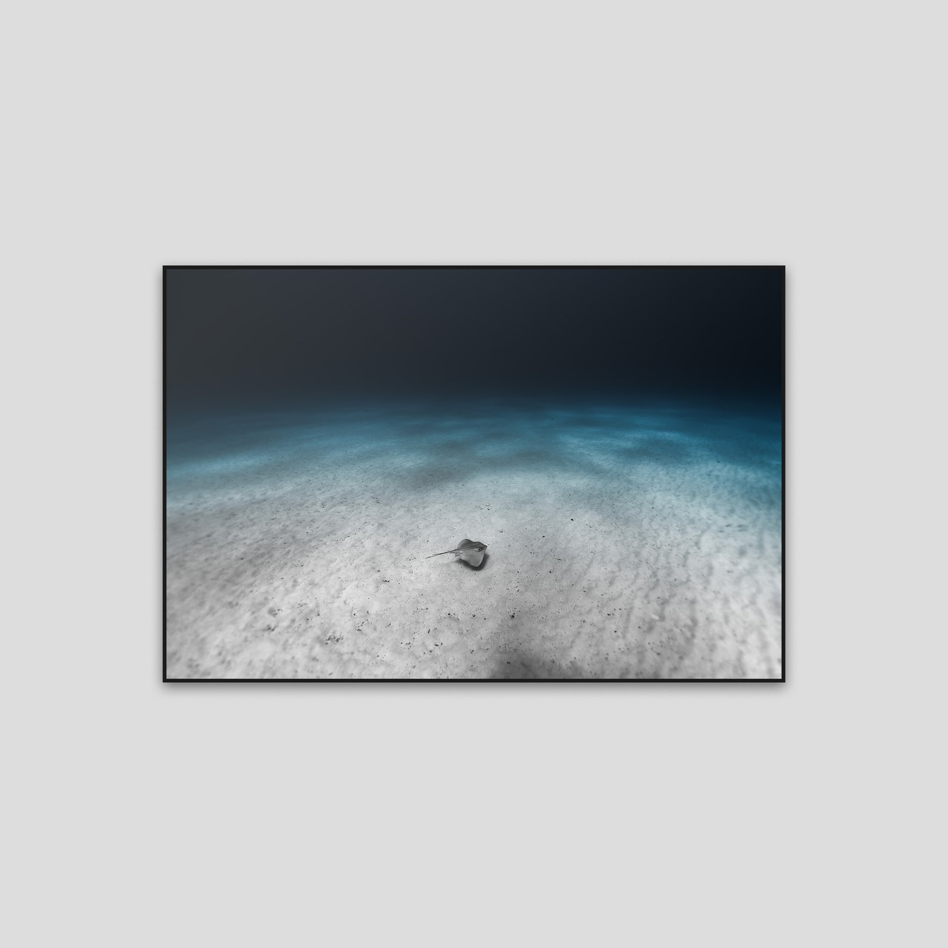 220529-0A0A7383