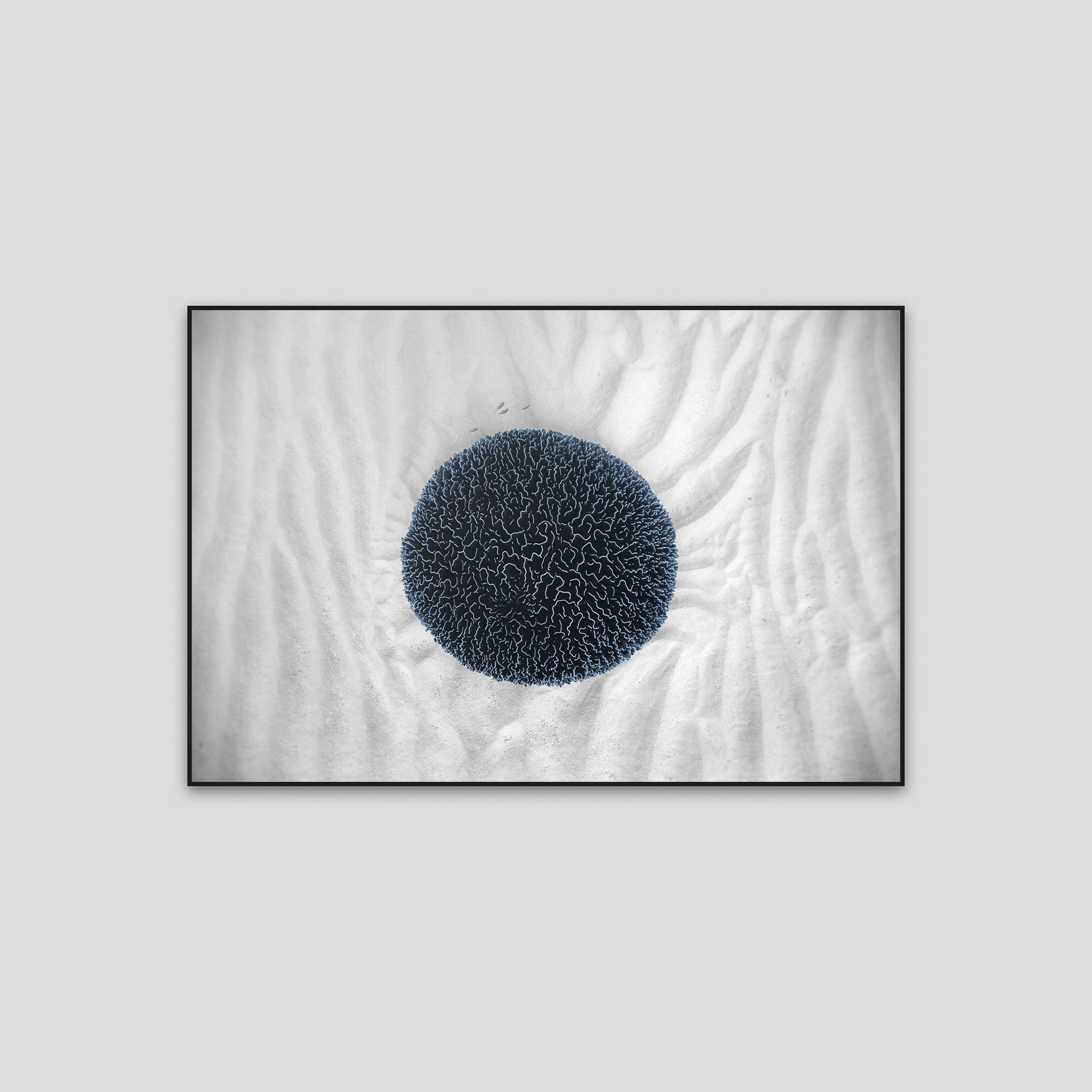 210302-9C1A6881