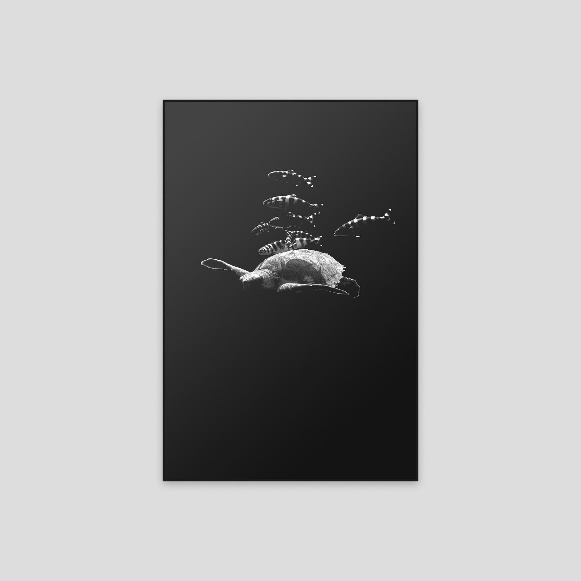 240823-0A0A4278